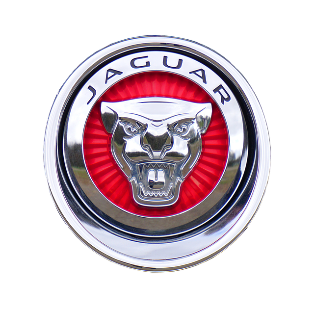 symbol jaguar