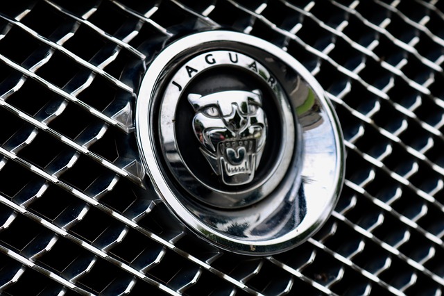 jaguar auto